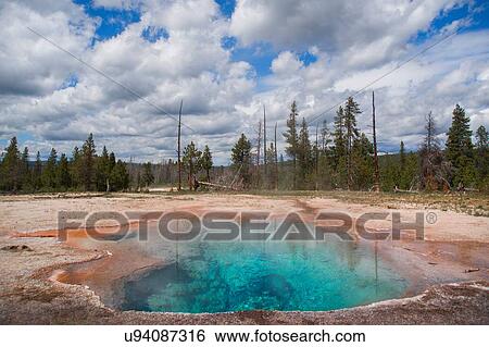Stock Photograph -  Lemon Spring, Thermal hot spring along Firehole Lake Drive, Yellowstone National Park, Wyoming, USA. Fotosearch