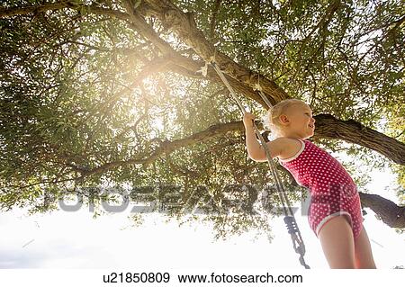 Low angle view of female toddler standing on tree swing View Large Photo Image Stock Photo - Low angle view of female toddler standing on tree swing. Fotosearch