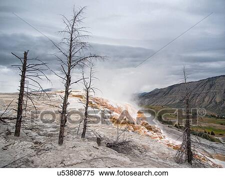 Stock Photography - Mammoth hot springs and terraces of calcium carbon deposit, Yellowstone National Park, Wyoming, USA. Fotosearch