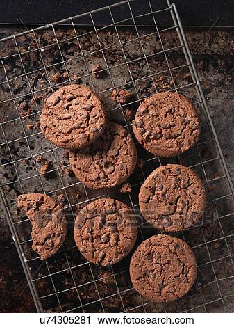 Overhead view of double chocolate chip crunchy cookies on cooling rack View Large Photo Image Stock Image - Overhead view of double chocolate chip crunchy cookies on cooling rack. Fotosearch