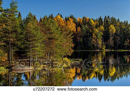 Pine trees on island and blue sky reflecting in lake, Drobak, Norway View Large Photo Image Stock Image - Pine trees on island and blue sky reflecting in lake, Drobak, Norway. Fotosearch