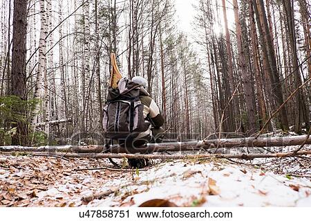 Stock Image - Rear view of male hiker in snow covered forest with snow shoes in backpack, Ural, Russia. Fotosearch