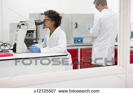 Scientist using microscope in laboratory View Large Photo Image Stock Photo - Scientist using microscope in laboratory. Fotosearch