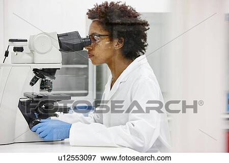 Scientist using microscope in laboratory View Large Photo Image Stock Photo - Scientist using microscope in laboratory. Fotosearch