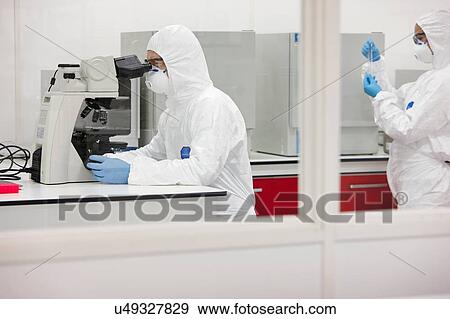 Stock Photo - Scientist using microscope in laboratory. Fotosearch