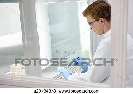 Scientist working in laboratory View Large Photo Image Stock Photo - Scientist working in laboratory. Fotosearch