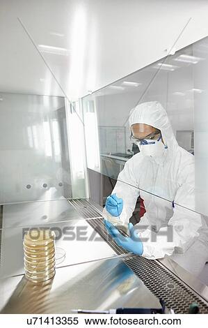 Scientist working in laboratory View Large Photo Image Stock Photography - Scientist working in laboratory. Fotosearch