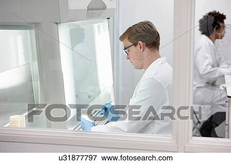 Scientists working in laboratory View Large Photo Image Stock Photo - Scientists working in laboratory. Fotosearch