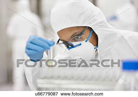 Scientists working in laboratory View Large Photo Image Stock Photo - Scientists working in laboratory. Fotosearch