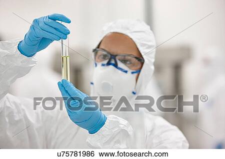 Scientists working in laboratory View Large Photo Image Stock Photograph - Scientists working in laboratory. Fotosearch