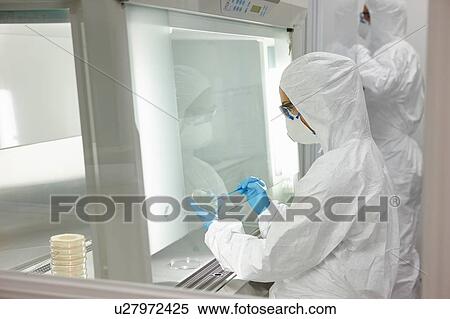Scientists working in laboratory View Large Photo Image Stock Photography - Scientists working in laboratory. Fotosearch