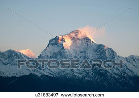 Snow capped mountain peak in dawn sunlight, Nepal View Large Photo Image Stock Photo - Snow capped mountain peak in dawn sunlight, Nepal. Fotosearch