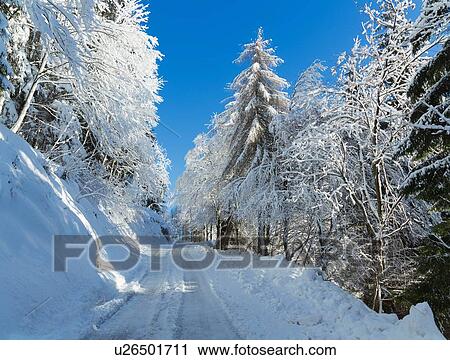 Snowy rural road, Monte Rosa, Piedmont, Italy View Large Photo Image Stock Image - Snowy rural road, Monte Rosa, Piedmont, Italy. Fotosearch