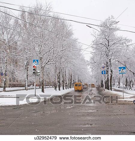 Snowy scene, tree lined road with traffic lights and traffic View Large Photo Image Stock Photo - Snowy scene, tree lined road with traffic lights and traffic. Fotosearch