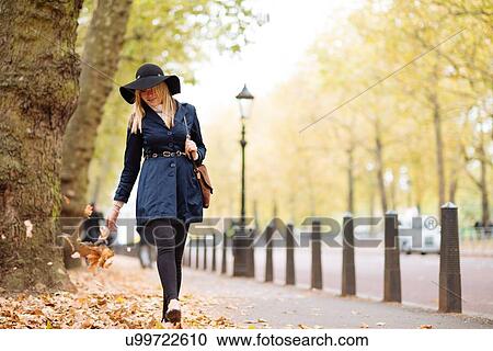 Stylish young woman strolling through autumn leaves in city park View Large Photo Image Stock Image - Stylish young woman strolling through autumn leaves in city park. Fotosearch