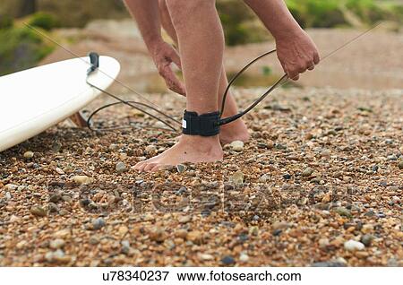Stock Photo - Surfer tying surfboard leash to ankle. Fotosearch