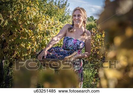 Woman carrying basket of grapes at vineyard, Quartucciu, Sardinia, Italy View Large Photo Image Stock Photography - Woman carrying basket of grapes at vineyard, Quartucciu, Sardinia, Italy. Fotosearch