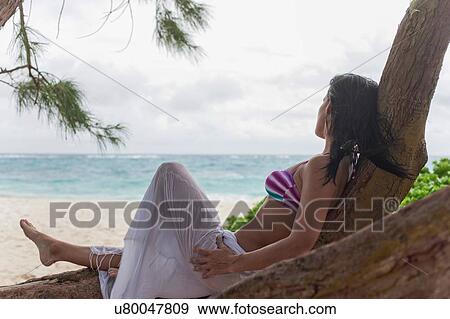 Woman reclining in beach tree looking out at sea, Barbados, The Caribbean View Large Photo Image Stock Photo - Woman reclining in beach tree looking out at sea, Barbados, The Caribbean. Fotosearch