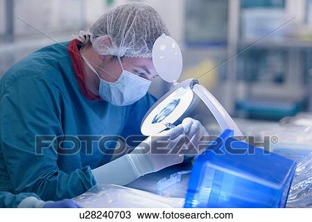 Worker inspecting surgical instruments in clean room of surgical instruments factory View Large Photo Image Stock Image - Worker inspecting surgical instruments in clean room of surgical instruments factory. Fotosearch