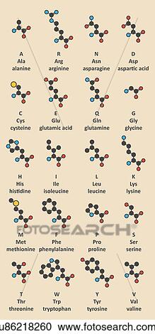 Amino acids molecules View Large Illustration Clipart - Amino acids molecules. Fotosearch