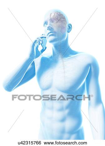 Stock Illustration - "Cell phone and human brain, Illustration". Fotosearch