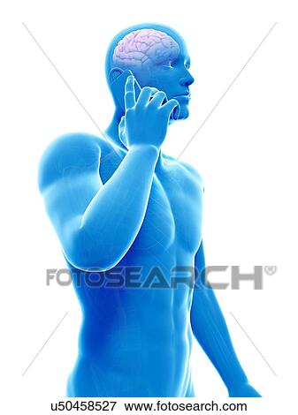Stock Illustration - "Cell phone and human brain, Illustration". Fotosearch
