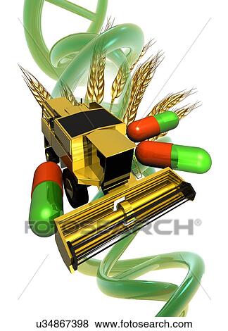 Stock Illustration - "Genetically modified crops, Illustration". Fotosearch