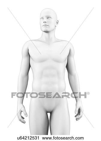 "Human body, Illustration" View Large Illustration Clip Art - "Human body, Illustration". Fotosearch