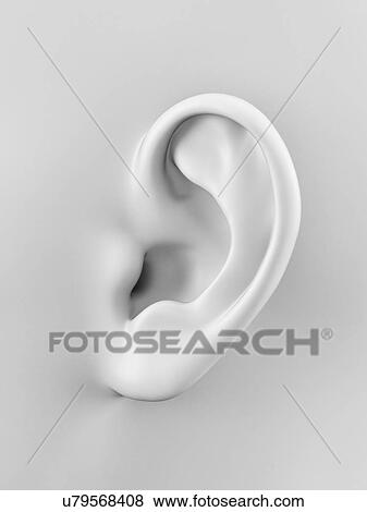 "Human ear, Illustration" View Large Illustration Stock Illustration - "Human ear, Illustration". Fotosearch