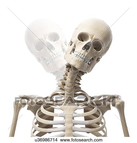 Stock Illustration - "Human head bending sideways, Illustration". Fotosearch