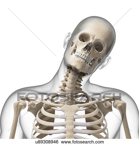 "Human head bending sideways, Illustration" View Large Illustration Stock Illustration - "Human head bending sideways, Illustration". Fotosearch
