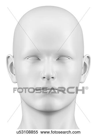 Stock Illustration - "Human head, Illustration". Fotosearch