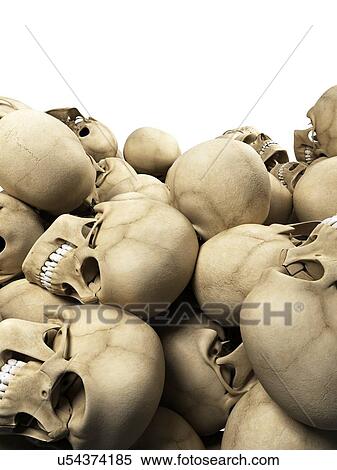 Stock Illustration - "Human skulls, Illustration". Fotosearch