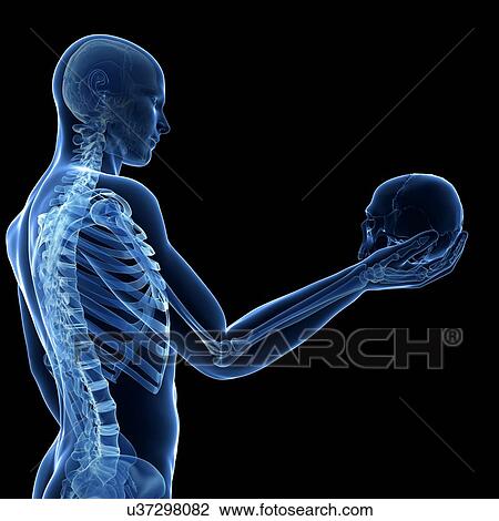 "Person holding a skull, Illustration" View Large Illustration Drawing - "Person holding a skull, Illustration". Fotosearch