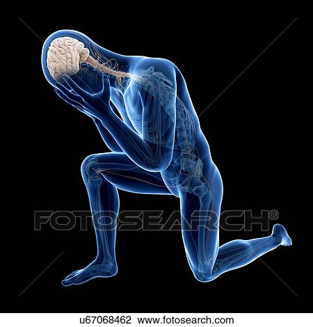 Drawing - "Person kneeling, Illustration". Fotosearch