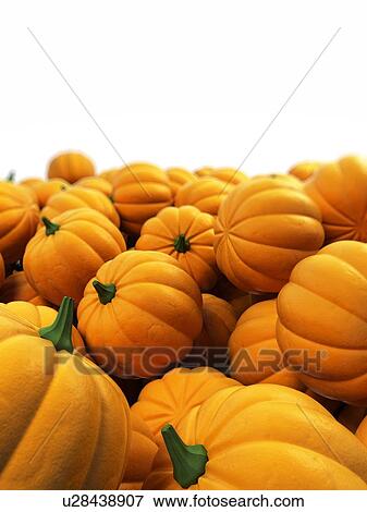 "Pumpkins, Illustration" View Large Illustration Stock Illustration - "Pumpkins, Illustration". Fotosearch