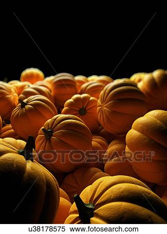 Stock Illustration - "Pumpkins, Illustration". Fotosearch