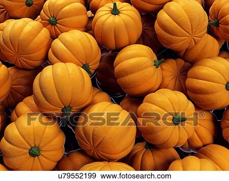 Stock Illustration - "Pumpkins, Illustration". Fotosearch