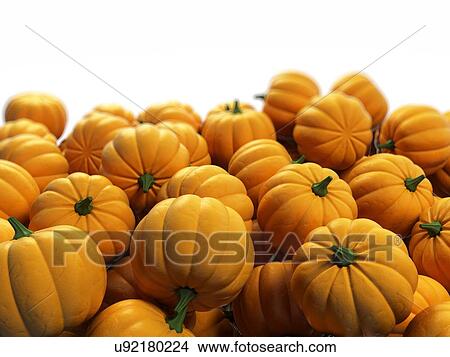 "Pumpkins, Illustration" View Large Illustration Stock Illustration - "Pumpkins, Illustration". Fotosearch