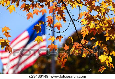 Autumn leaves with American Flag in background View Large Photo Image Stock Photo - Autumn leaves with American Flag in background. Fotosearch