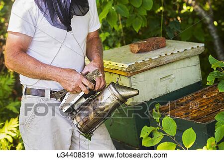 Stock Photo - Beekeeper holding smoker. Fotosearch