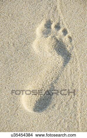 Close up of footprint in sand View Large Photo Image Picture - Close up of footprint in sand. Fotosearch