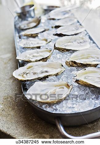 Close-up of tray with oysters View Large Photo Image Stock Photography - Close-up of tray with oysters. Fotosearch