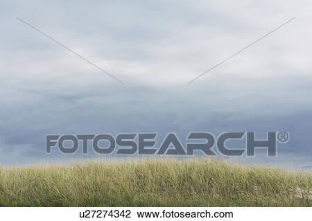 Cloudy sky and meadow View Large Photo Image Stock Image - Cloudy sky and meadow. Fotosearch
