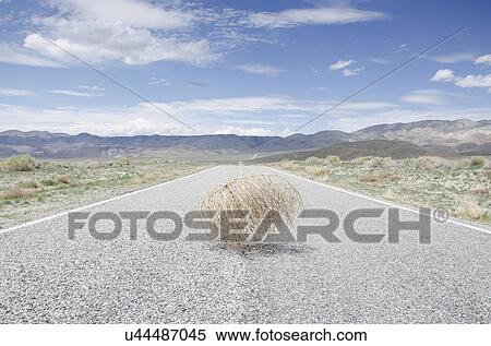 Stock Photography - Empty road with tumbleweed. Fotosearch