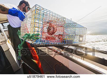 Stock Image - Fisherman throwing lobster trap. Fotosearch