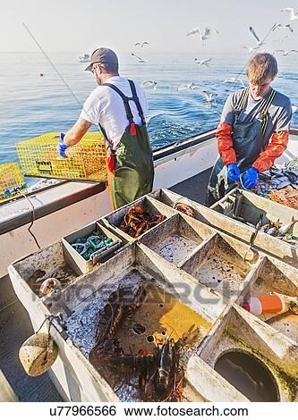 Fishermen working on boat View Large Photo Image Stock Photograph - Fishermen working on boat. Fotosearch