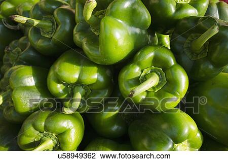 Stock Image - Full frame of green bell peppers. Fotosearch