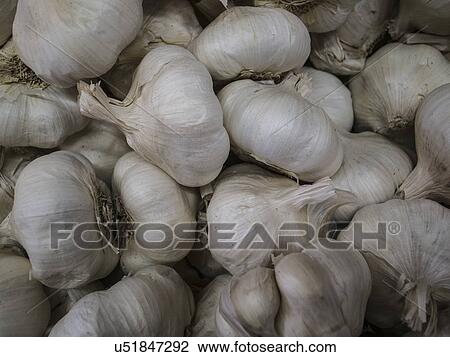 Full frame of white garlic View Large Photo Image Stock Image - Full frame of white garlic. Fotosearch