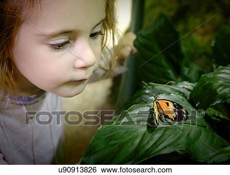 Stock Photograph - Girl (2-3) looking at butterfly on leaf. Fotosearch